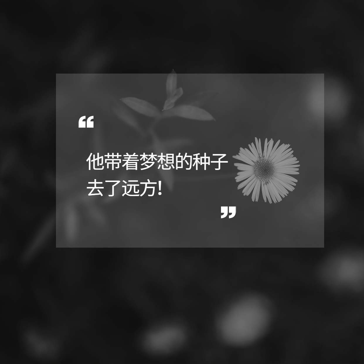 袁隆平用一粒種子的力量改變了世界！