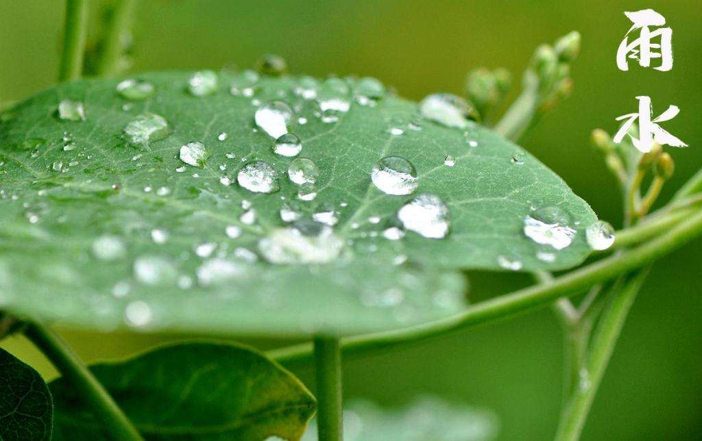 雨水潤萬物，兼顧沙與泥！